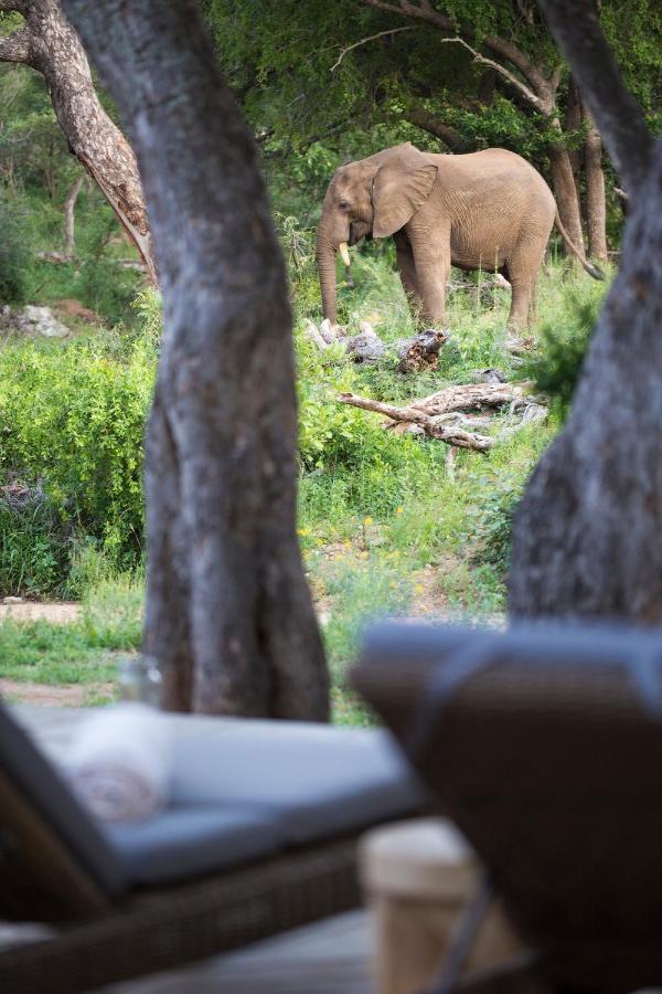 Willa Simbavati Amani Klaserie Private Nature Reserve Zewnętrze zdjęcie